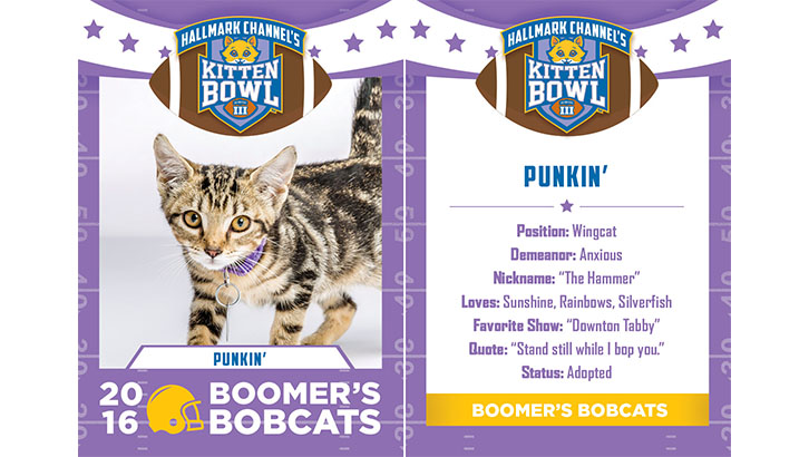 punkin 39 boomer 39 s bobcats 2016 adopt a family christmas 2019