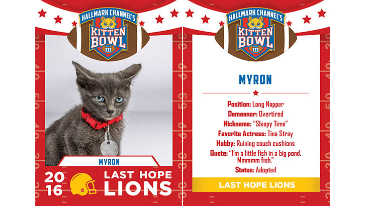myron last hope lions 2016 hallmark christmas movies schedule 2019