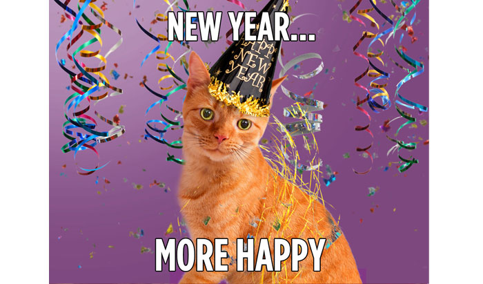 new year ecard hallmark new year happy the cat hallmark channel new year ecard hallmark new year happy the cat hallmark channel