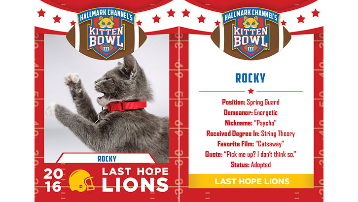 rocky last hope lions 2016 adopt a family christmas 2019