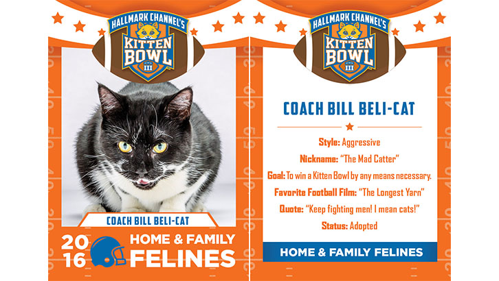 coach bill beli cat home family felines 2016 hallmark first christmas 2019