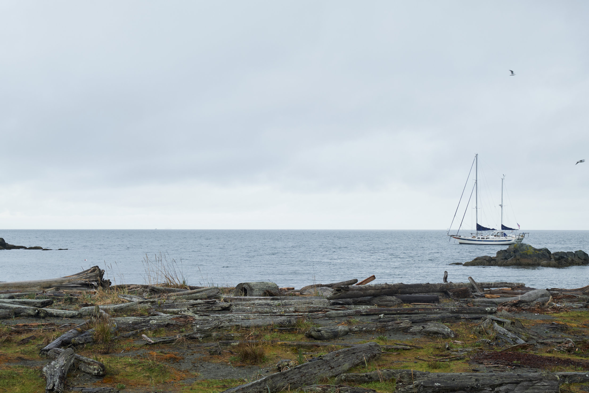 Photos from Sailing into Love 11