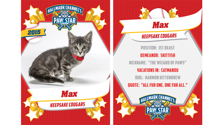 Cat Adoption Team Newsletter Cat Adoption Team Newsletter