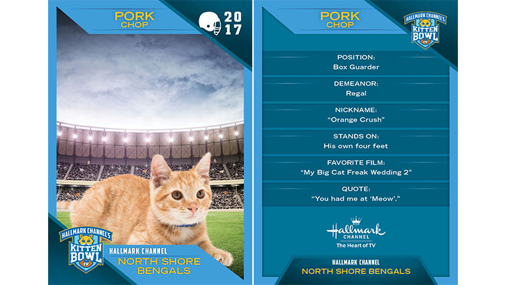 kitten bowl trading cards north shore bengals 6 royal christmas cards 2019