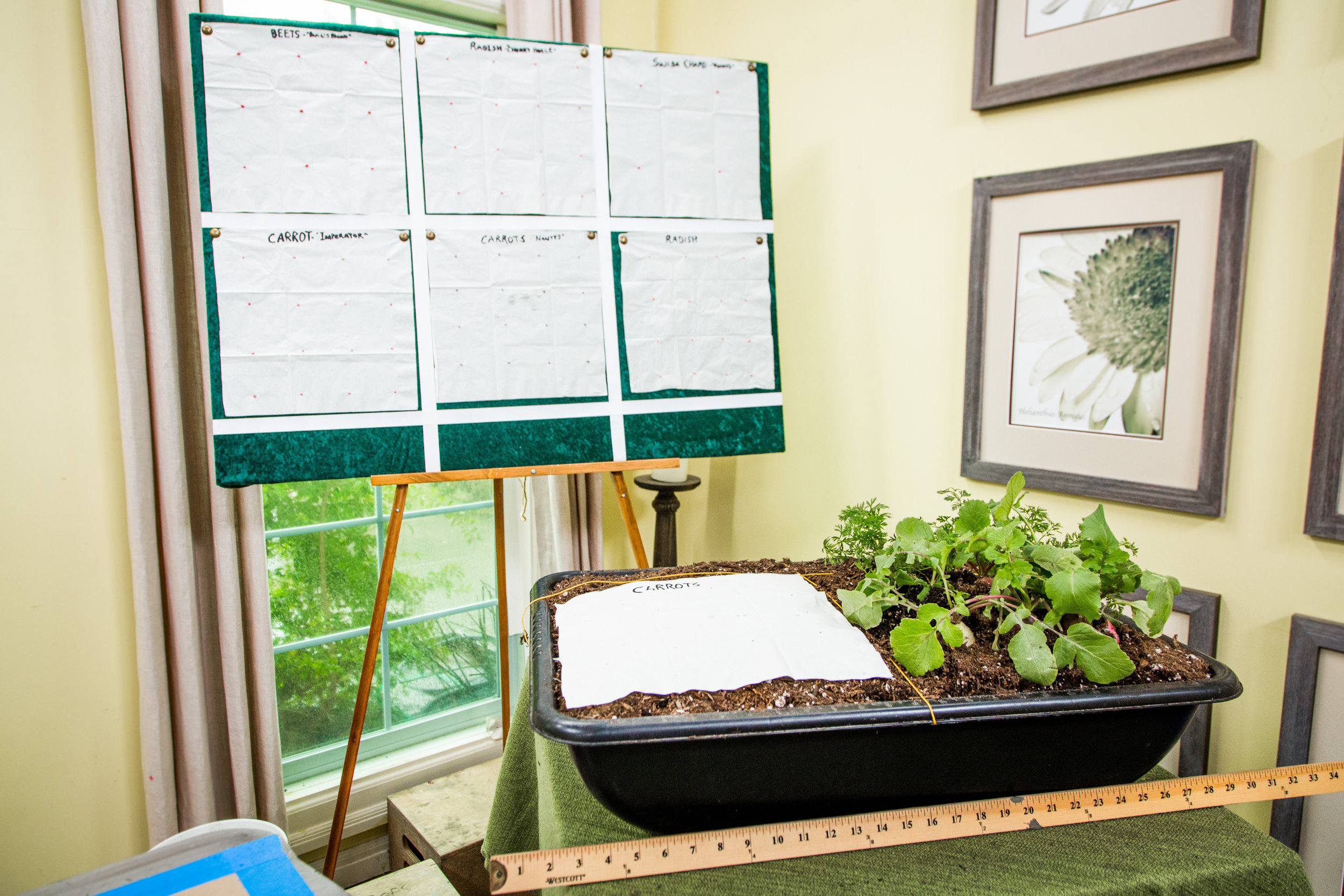 How To DIY Seed Mats Home & Family Hallmark Channel