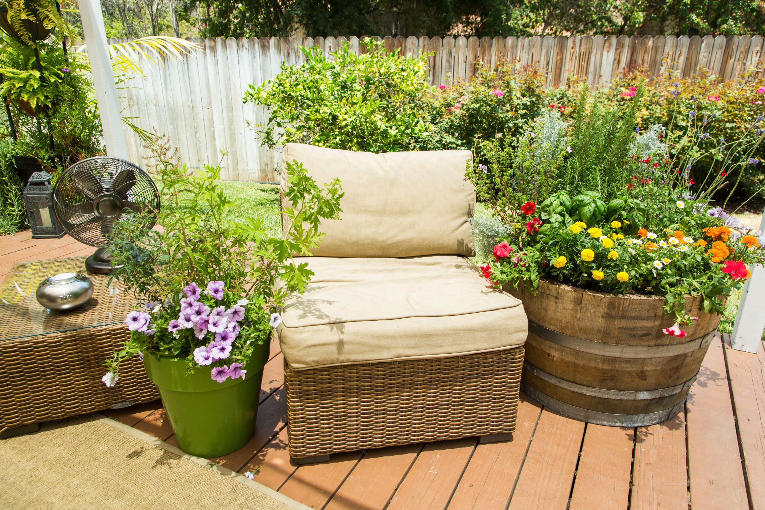 How To Home Family Mosquito Repelling Container Garden Mosquito Repelling Container Garden